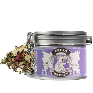 
                  
                    <tc>Fresh Breeze BIO - Eucalyptus Goût Menthe 100g</tc>
                  
                